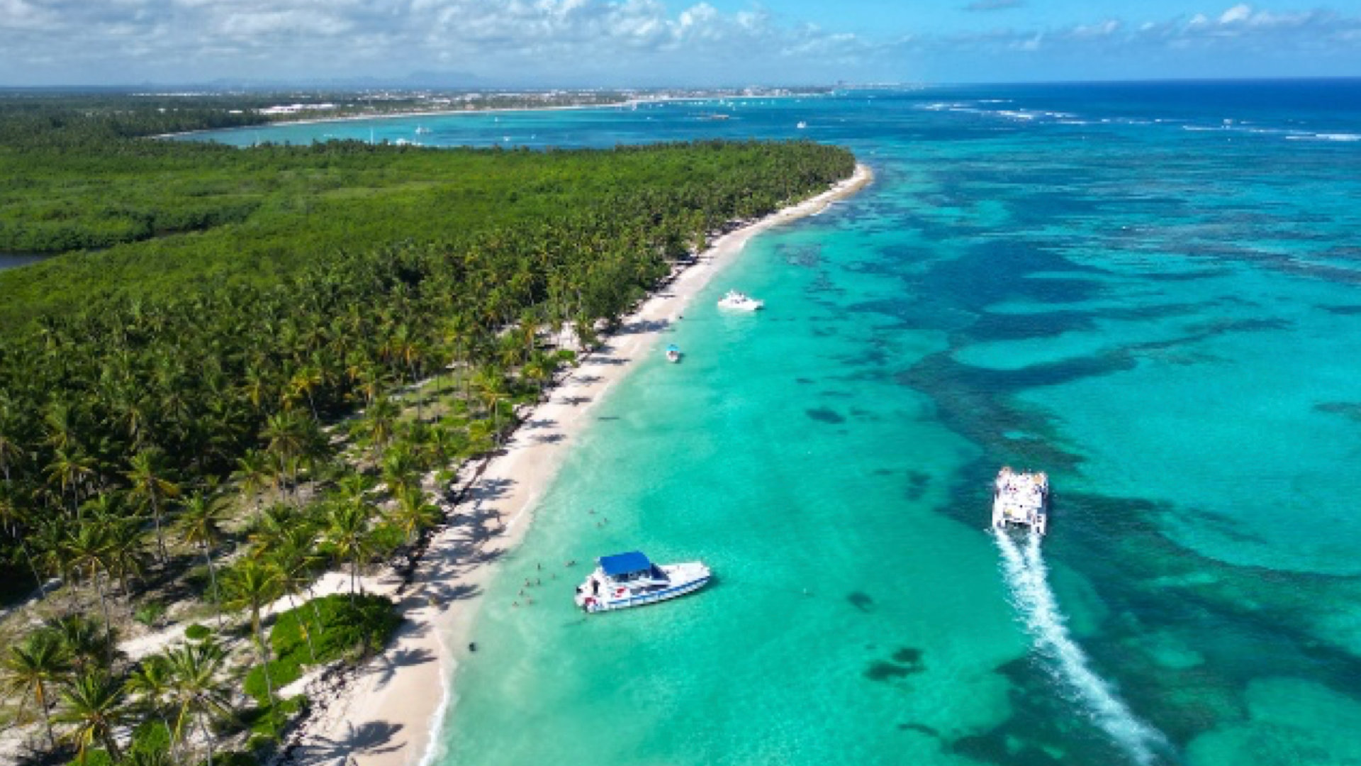 all-dance-world-latam-2026-02